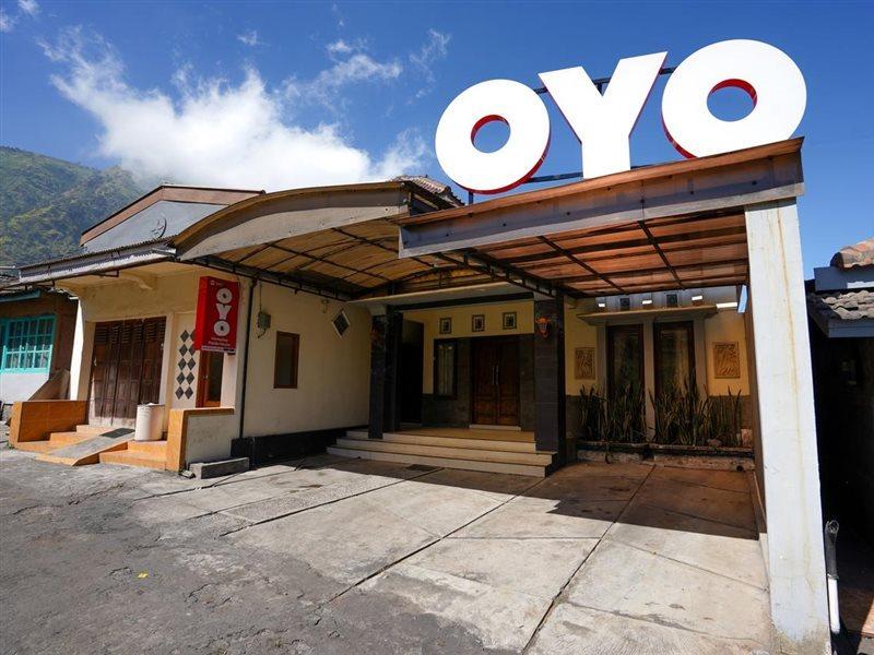 Oyo 1087 Homestay Potato House Bromo Exteriör bild